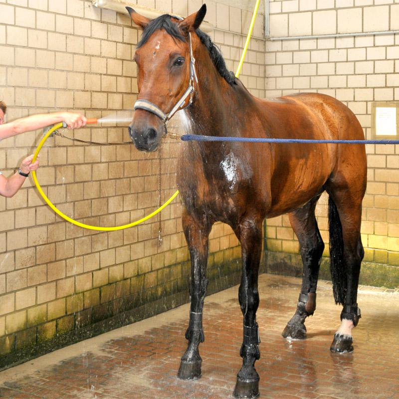 Abgetrennter Waschplatz