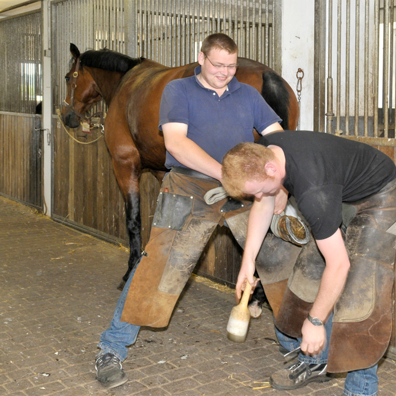 Hufschmied bei der Arbeit
