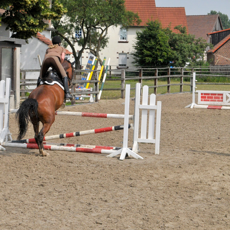 Springreiten auf dem Außenplatz